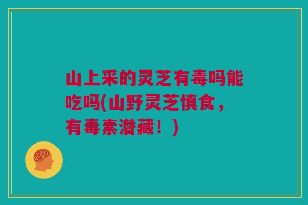 山上采的灵芝有毒吗能吃吗(山野灵芝慎食,有毒素潜藏!) 山上采的灵芝有毒吗能吃吗(山野灵芝慎食,有毒素潜藏!)