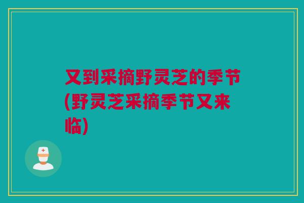 又到采摘野灵芝的季节(野灵芝采摘季节又来临)