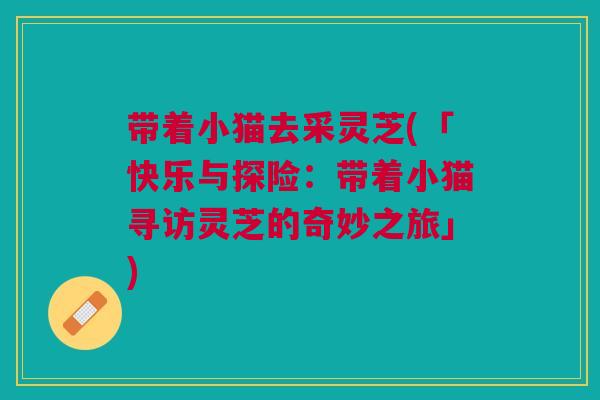 带着小猫去采灵芝(「快乐与探险：带着小猫寻访灵芝的奇妙之旅」)