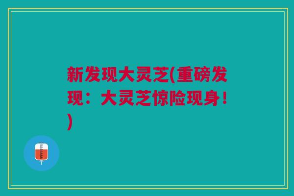 新发现大灵芝(重磅发现:大灵芝惊险现身!) 新发现大灵芝(重磅发现:大灵芝惊险现身!)