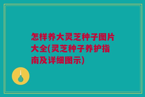 怎样养大灵芝种子图片大全(灵芝种子养护指南及详细图示) 怎样养大灵芝种子图片大全(灵芝种子养护指南及详细图示)