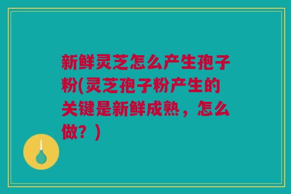 新鲜灵芝怎么产生孢子粉(灵芝孢子粉产生的关键是新鲜成熟,怎么做?) 新鲜灵芝怎么产生孢子粉(灵芝孢子粉产生的关键是新鲜成熟,怎么做?)