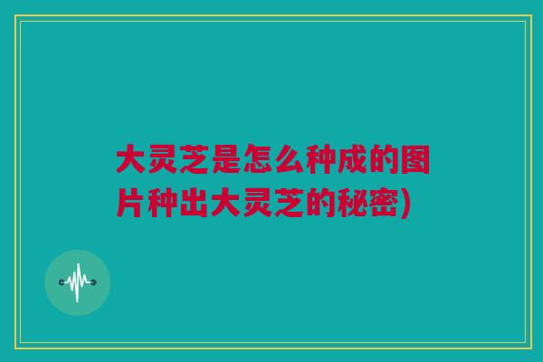 大灵芝是怎么种成的图片种出大灵芝的秘密)