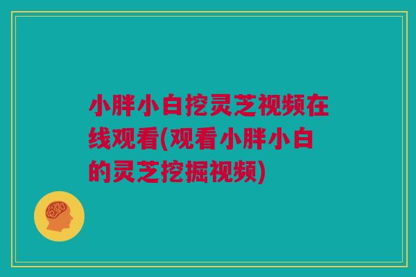 小胖小白挖灵芝视频在线观看(观看小胖小白的灵芝挖掘视频)