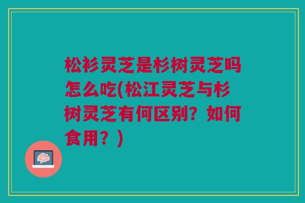 松衫灵芝是杉树灵芝吗怎么吃(松江灵芝与杉树灵芝有何区别?如何食用?) 松衫灵芝是杉树灵芝吗怎么吃(松江灵芝与杉树灵芝有何区别?如何食用?)