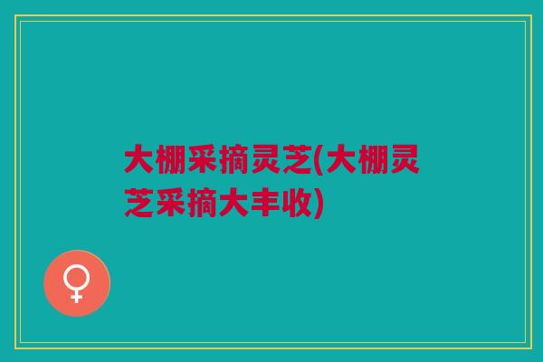 大棚采摘灵芝(大棚灵芝采摘大丰收) 大棚采摘灵芝(大棚灵芝采摘大丰收)