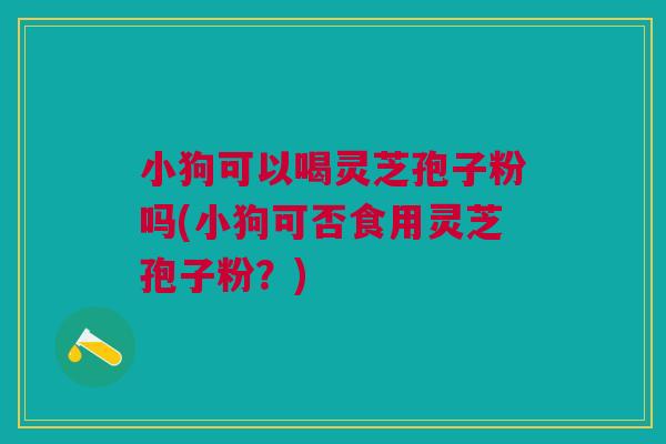 小狗可以喝灵芝孢子粉吗(小狗可否食用灵芝孢子粉?) 小狗可以喝灵芝孢子粉吗(小狗可否食用灵芝孢子粉?)