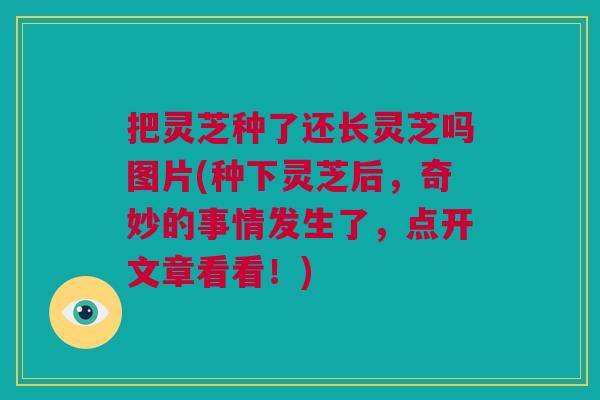 把灵芝种了还长灵芝吗图片(种下灵芝后，奇妙的事情发生了，点开文章看看！)