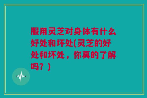 服用灵芝对身体有什么好处和坏处(灵芝的好处和坏处,你真的了解吗?) 服用灵芝对身体有什么好处和坏处(灵芝的好处和坏处,你真的了解吗?)