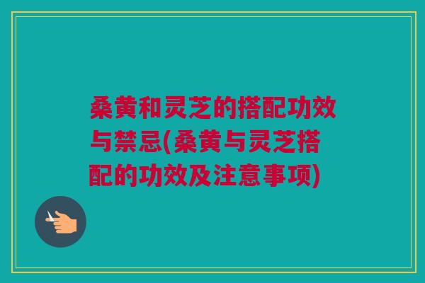 桑黄和灵芝的搭配功效与禁忌(桑黄与灵芝搭配的功效及注意事项) 桑黄和灵芝的搭配功效与禁忌(桑黄与灵芝搭配的功效及注意事项)