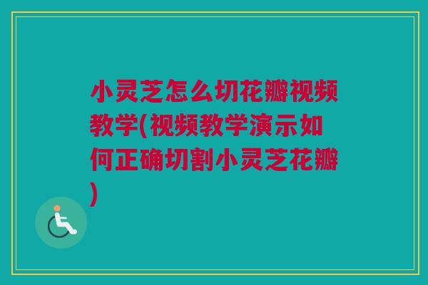 小灵芝怎么切花瓣视频教学(视频教学演示如何正确切割小灵芝花瓣) 小灵芝怎么切花瓣视频教学(视频教学演示如何正确切割小灵芝花瓣)