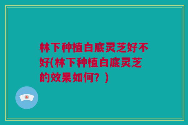林下种植白底灵芝好不好(林下种植白底灵芝的效果如何?) 林下种植白底灵芝好不好(林下种植白底灵芝的效果如何?)