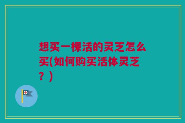 想买一棵活的灵芝怎么买(如何购买活体灵芝?) 想买一棵活的灵芝怎么买(如何购买活体灵芝?)