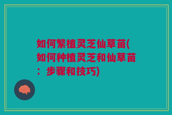 如何繁植灵芝仙草苗(如何种植灵芝和仙草苗:步骤和技巧) 如何繁植灵芝仙草苗(如何种植灵芝和仙草苗:步骤和技巧)