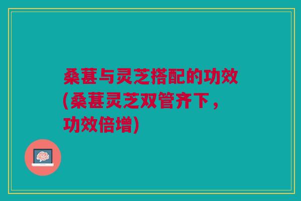 桑葚与灵芝搭配的功效(桑葚灵芝双管齐下,功效倍增) 桑葚与灵芝搭配的功效(桑葚灵芝双管齐下,功效倍增)