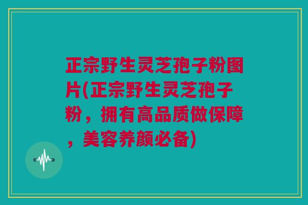 正宗野生灵芝孢子粉图片(正宗野生灵芝孢子粉，拥有高品质做保障，美容养颜必备)