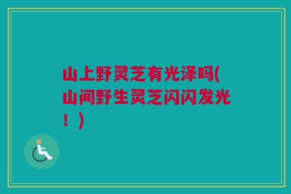 山上野灵芝有光泽吗(山间野生灵芝闪闪发光!) 山上野灵芝有光泽吗(山间野生灵芝闪闪发光!)