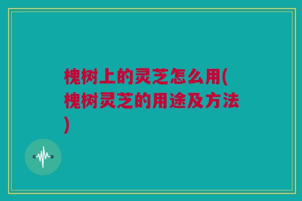 槐树上的灵芝怎么用(槐树灵芝的用途及方法) 槐树上的灵芝怎么用(槐树灵芝的用途及方法)