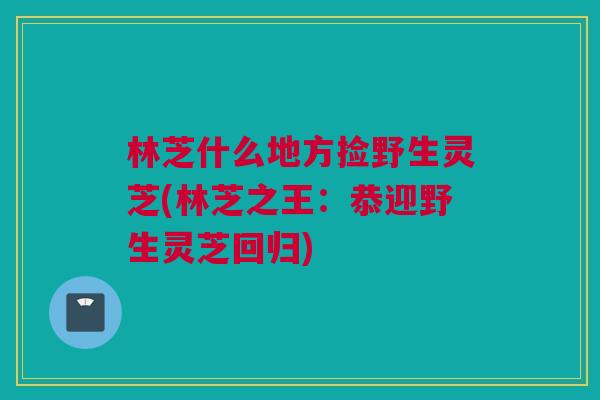 林芝什么地方捡野生灵芝(林芝之王:恭迎野生灵芝回归) 林芝什么地方捡野生灵芝(林芝之王:恭迎野生灵芝回归)