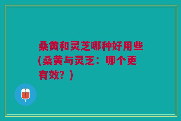 桑黄和灵芝哪种好用些(桑黄与灵芝:哪个更有效?) 桑黄和灵芝哪种好用些(桑黄与灵芝:哪个更有效?)