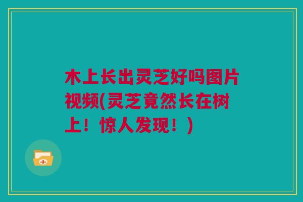 木上长出灵芝好吗图片视频(灵芝竟然长在树上!惊人发现!) 木上长出灵芝好吗图片视频(灵芝竟然长在树上!惊人发现!)