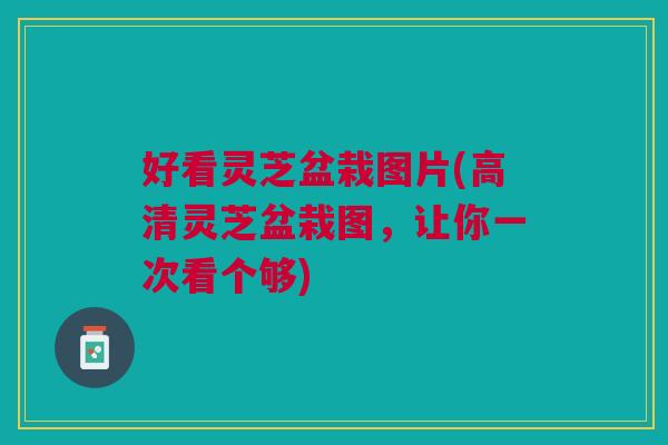 好看灵芝盆栽图片(高清灵芝盆栽图,让你一次看个够) 好看灵芝盆栽图片(高清灵芝盆栽图,让你一次看个够)