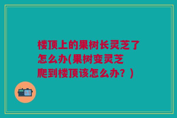 楼顶上的果树长灵芝了怎么办(果树变灵芝 爬到楼顶该怎么办?) 楼顶上的果树长灵芝了怎么办(果树变灵芝 爬到楼顶该怎么办?)