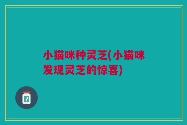 小猫咪种灵芝(小猫咪发现灵芝的惊喜) 小猫咪种灵芝(小猫咪发现灵芝的惊喜)