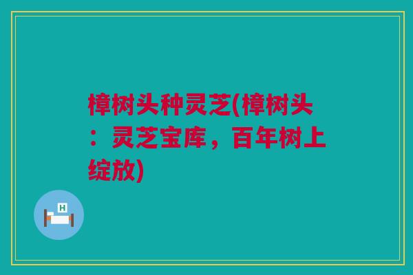 樟树头种灵芝(樟树头:灵芝宝库,百年树上绽放) 樟树头种灵芝(樟树头:灵芝宝库,百年树上绽放)
