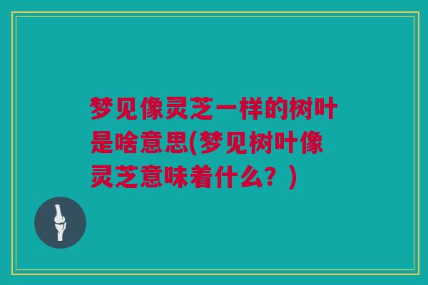 梦见像灵芝一样的树叶是啥意思(梦见树叶像灵芝意味着什么?) 梦见像灵芝一样的树叶是啥意思(梦见树叶像灵芝意味着什么?)