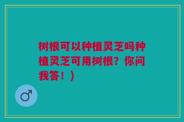 树根可以种植灵芝吗种植灵芝可用树根?你问我答!) 树根可以种植灵芝吗种植灵芝可用树根?你问我答!)