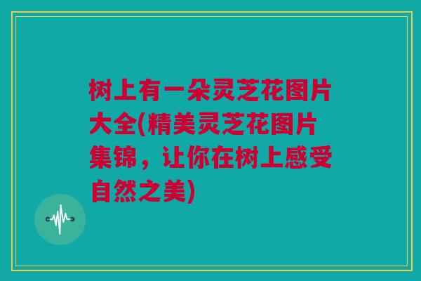 树上有一朵灵芝花图片大全(精美灵芝花图片集锦,让你在树上感受自然之美) 树上有一朵灵芝花图片大全(精美灵芝花图片集锦,让你在树上感受自然之美)