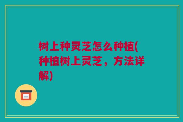 树上种灵芝怎么种植(种植树上灵芝,方法详解) 树上种灵芝怎么种植(种植树上灵芝,方法详解)