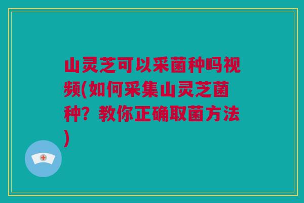 山灵芝可以采菌种吗视频(如何采集山灵芝菌种?教你正确取菌方法) 山灵芝可以采菌种吗视频(如何采集山灵芝菌种?教你正确取菌方法)