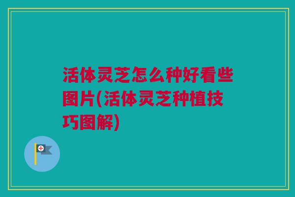 活体灵芝怎么种好看些图片(活体灵芝种植技巧图解) 活体灵芝怎么种好看些图片(活体灵芝种植技巧图解)