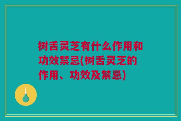 树舌灵芝有什么作用和功效禁忌(树舌灵芝的作用、功效及禁忌) 树舌灵芝有什么作用和功效禁忌(树舌灵芝的作用、功效及禁忌)