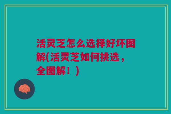 活灵芝怎么选择好坏图解(活灵芝如何挑选,全图解!) 活灵芝怎么选择好坏图解(活灵芝如何挑选,全图解!)