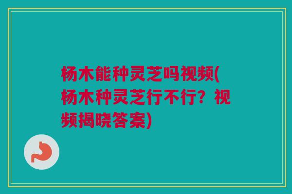 杨木能种灵芝吗视频(杨木种灵芝行不行?视频揭晓答案) 杨木能种灵芝吗视频(杨木种灵芝行不行?视频揭晓答案)