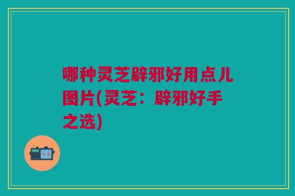 哪种灵芝辟邪好用点儿图片(灵芝:辟邪好手之选) 哪种灵芝辟邪好用点儿图片(灵芝:辟邪好手之选)