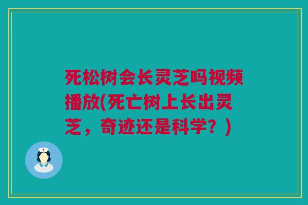 死松树会长灵芝吗视频播放(死亡树上长出灵芝,奇迹还是科学?) 死松树会长灵芝吗视频播放(死亡树上长出灵芝,奇迹还是科学?)