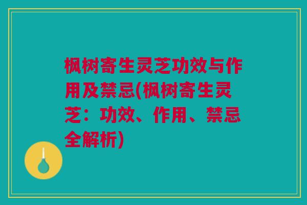 枫树寄生灵芝功效与作用及禁忌(枫树寄生灵芝:功效、作用、禁忌全解析) 枫树寄生灵芝功效与作用及禁忌(枫树寄生灵芝:功效、作用、禁忌全解析)