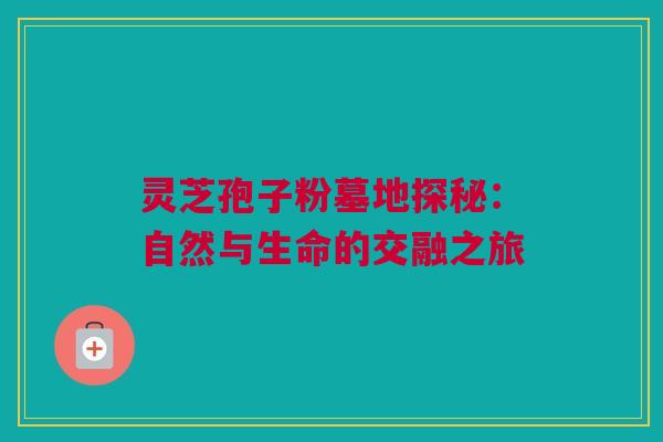 灵芝孢子粉墓地探秘：自然与生命的交融之旅