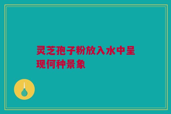灵芝孢子粉放入水中呈现何种景象 灵芝孢子粉放入水中呈现何种景象