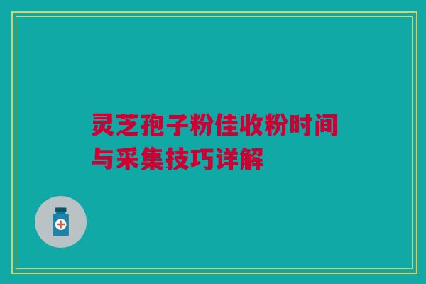 灵芝孢子粉佳收粉时间与采集技巧详解 灵芝孢子粉佳收粉时间与采集技巧详解