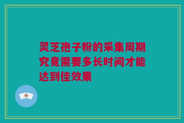 灵芝孢子粉的采集周期究竟需要多长时间才能达到佳效果 灵芝孢子粉的采集周期究竟需要多长时间才能达到佳效果
