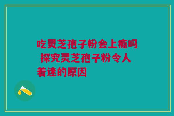 吃灵芝孢子粉会上瘾吗 探究灵芝孢子粉令人着迷的原因 吃灵芝孢子粉会上瘾吗 探究灵芝孢子粉令人着迷的原因