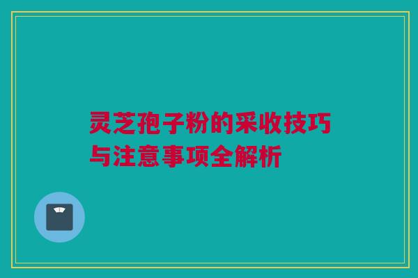 灵芝孢子粉的采收技巧与注意事项全解析 灵芝孢子粉的采收技巧与注意事项全解析