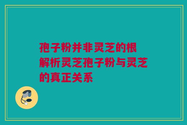 孢子粉并非灵芝的根 解析灵芝孢子粉与灵芝的真正关系 孢子粉并非灵芝的根 解析灵芝孢子粉与灵芝的真正关系
