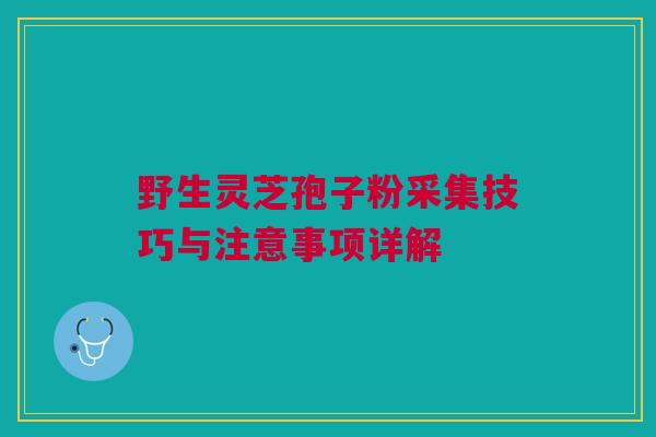 野生灵芝孢子粉采集技巧与注意事项详解 野生灵芝孢子粉采集技巧与注意事项详解
