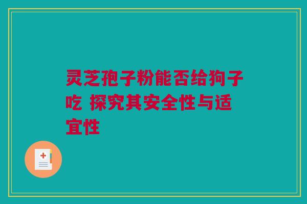 灵芝孢子粉能否给狗子吃 探究其安全性与适宜性